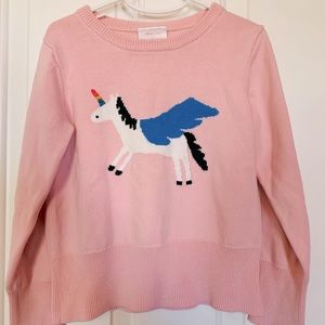 Hanna Anderson sweater